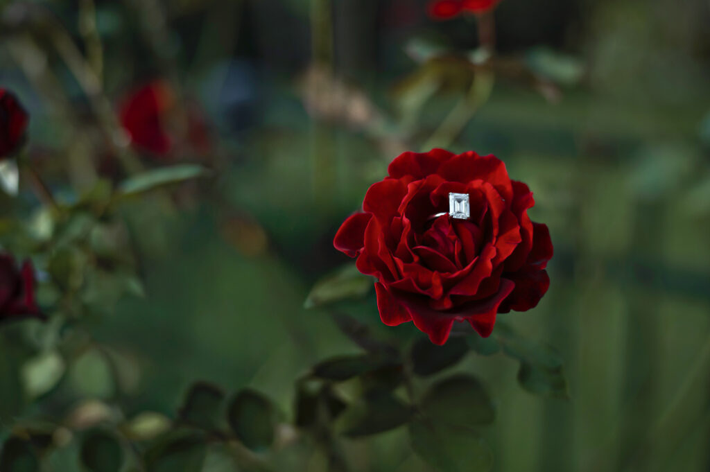 what-to-do-after-getting-engaged-in-florida