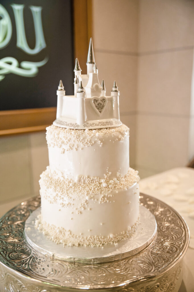 Disney Wish wedding photos couple celebrating reception